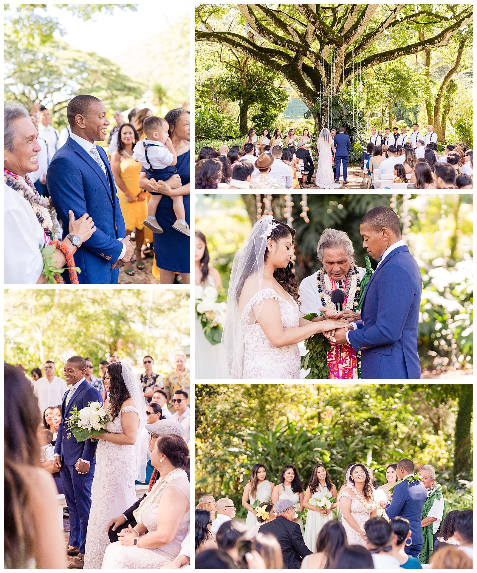 Waimea Valley Wedding Photos